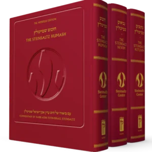 The Steinsaltz Tanakh